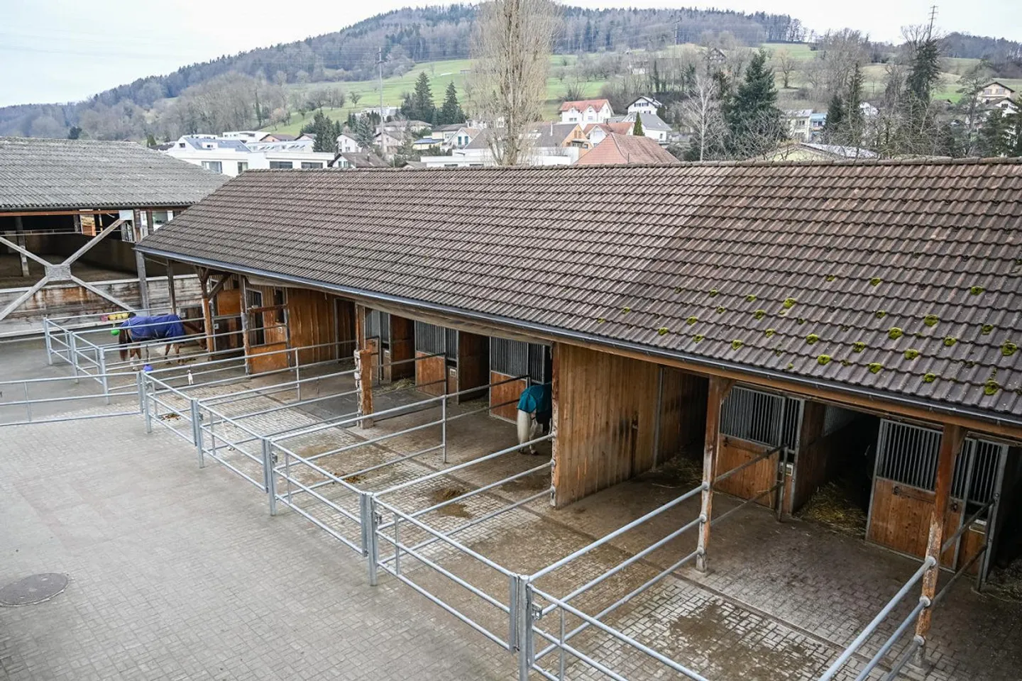 INSTALLATION ÉQUESTRE EN ZONE INDUSTRIELLE AVEC UN GRAND POTENTIEL - Photo 11 sur 42