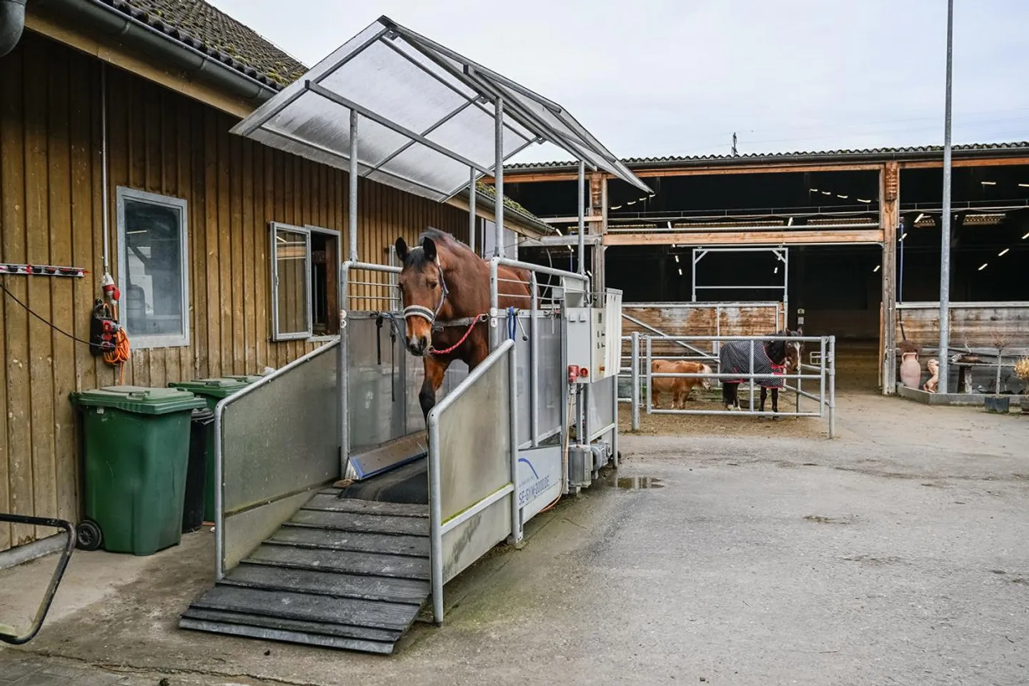 INSTALLATION ÉQUESTRE EN ZONE INDUSTRIELLE AVEC UN GRAND POTENTIEL - Photo 13 sur 42