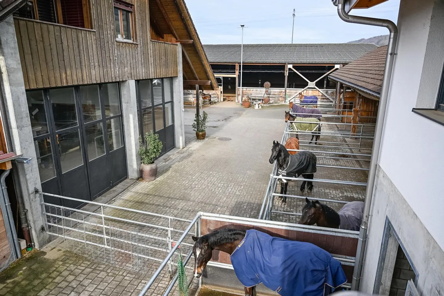 INSTALLATION ÉQUESTRE EN ZONE INDUSTRIELLE AVEC UN GRAND POTENTIEL - Photo 14 sur 42
