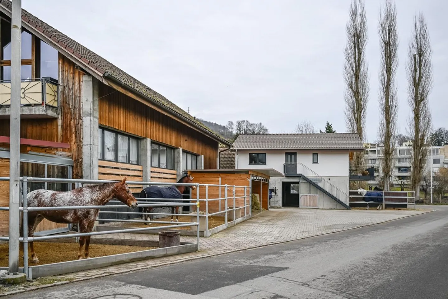 INSTALLATION ÉQUESTRE EN ZONE INDUSTRIELLE AVEC UN GRAND POTENTIEL - Photo 6 sur 42