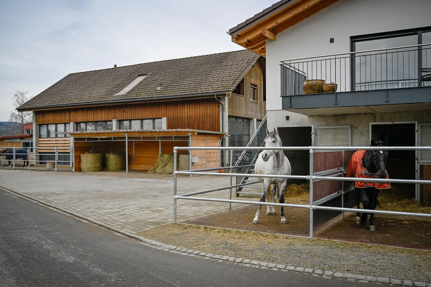 INSTALLATION ÉQUESTRE EN ZONE INDUSTRIELLE AVEC UN GRAND POTENTIEL - Photo 9 sur 42
