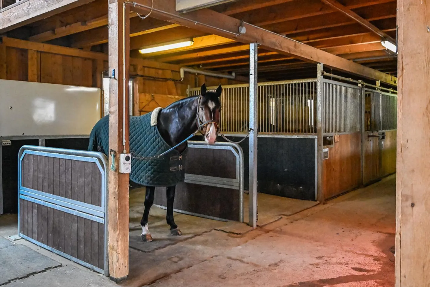 INSTALLATION ÉQUESTRE EN ZONE INDUSTRIELLE AVEC UN GRAND POTENTIEL - Photo 16 sur 42