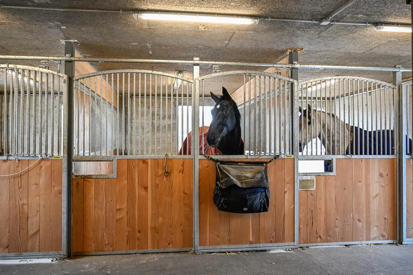 INSTALLATION ÉQUESTRE EN ZONE INDUSTRIELLE AVEC UN GRAND POTENTIEL - Photo 18 sur 42
