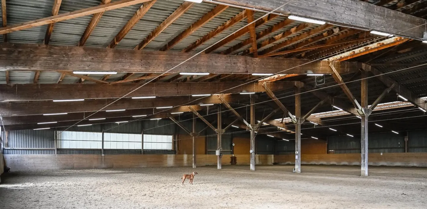 INSTALLATION ÉQUESTRE EN ZONE INDUSTRIELLE AVEC UN GRAND POTENTIEL - Photo 19 sur 42