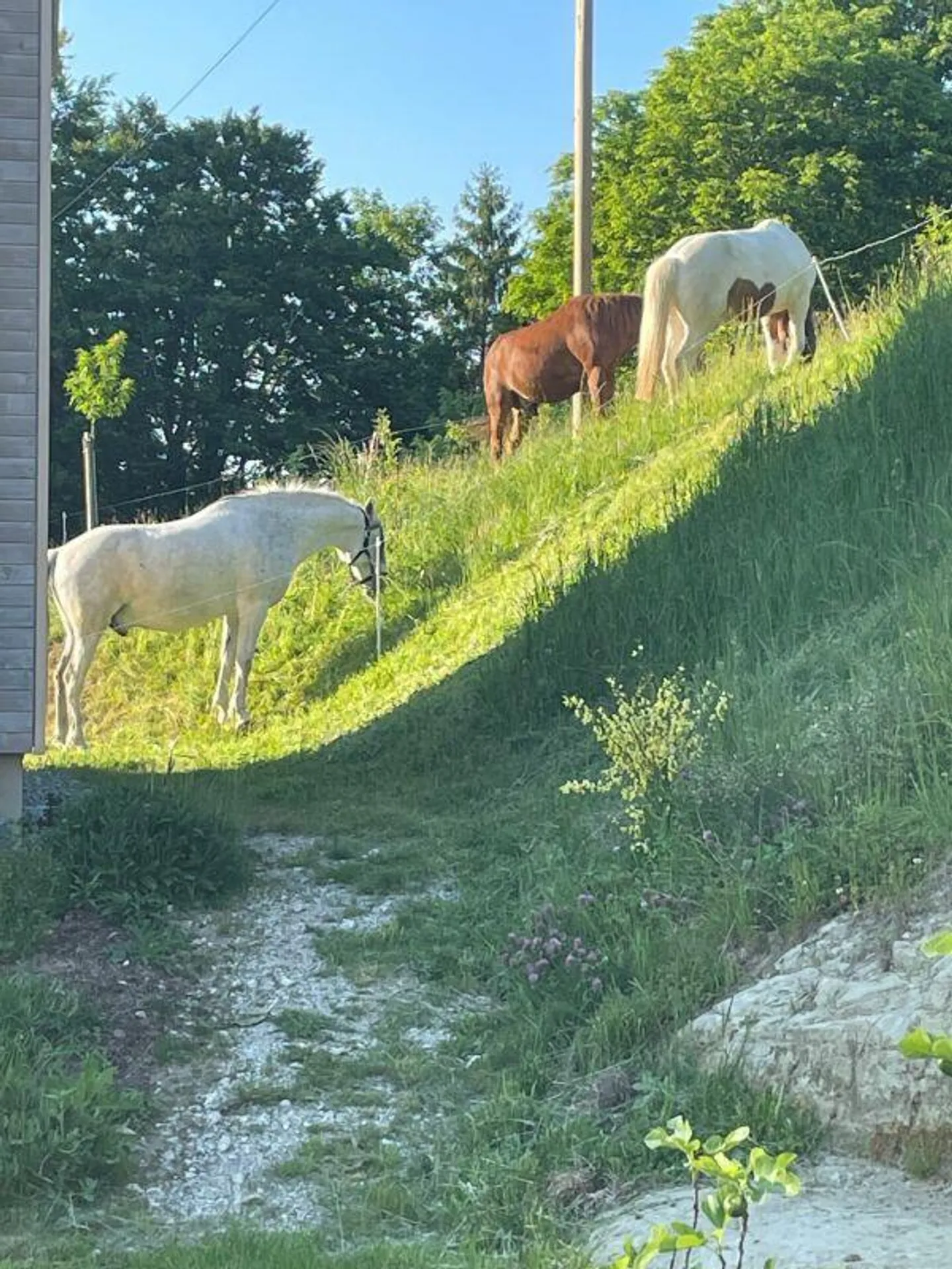 Terreno sviluppato in posizione idilliaca - Foto 6 di 6