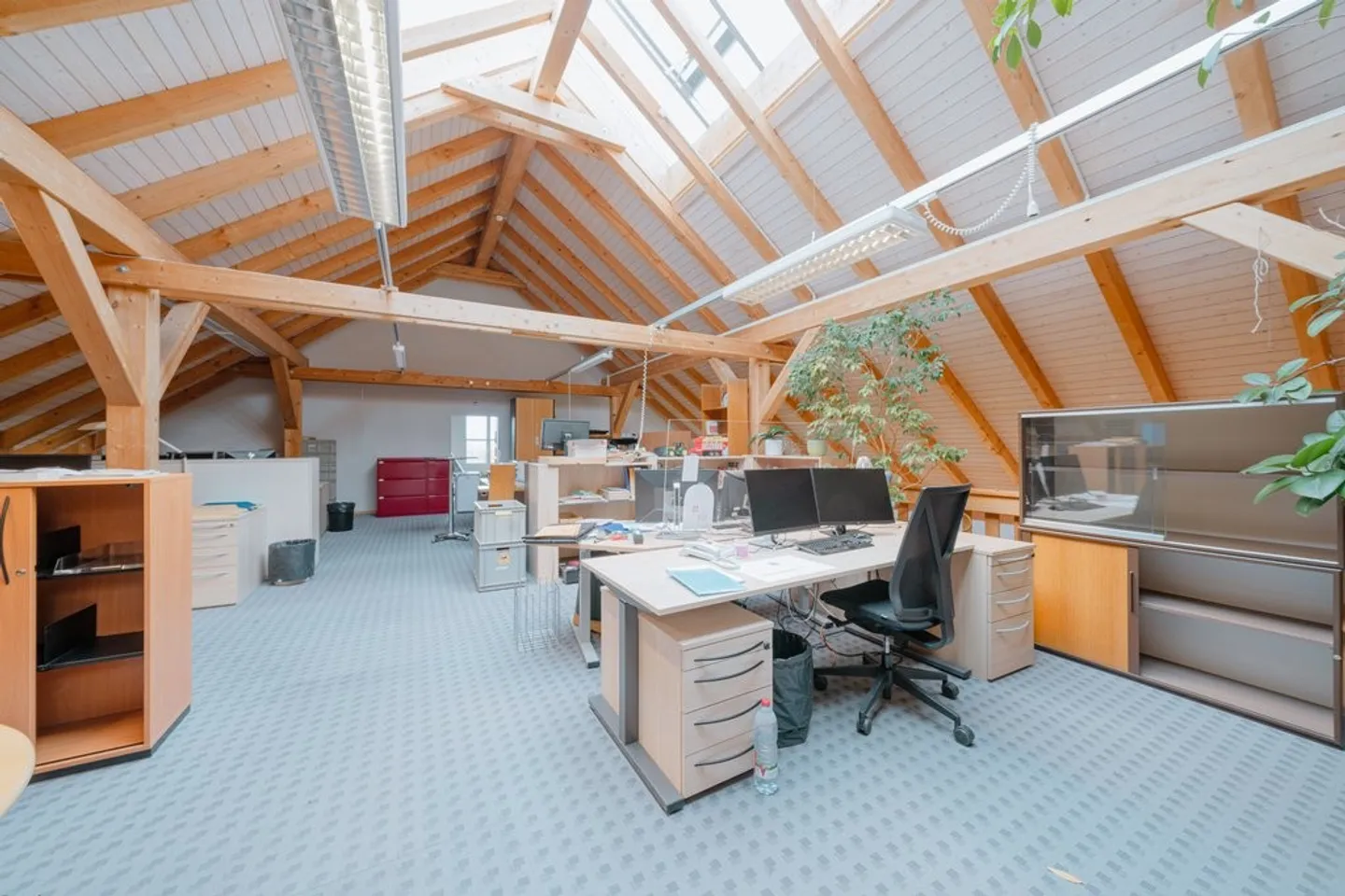 Espace commercial à Schöftland - Photo 11 sur 12