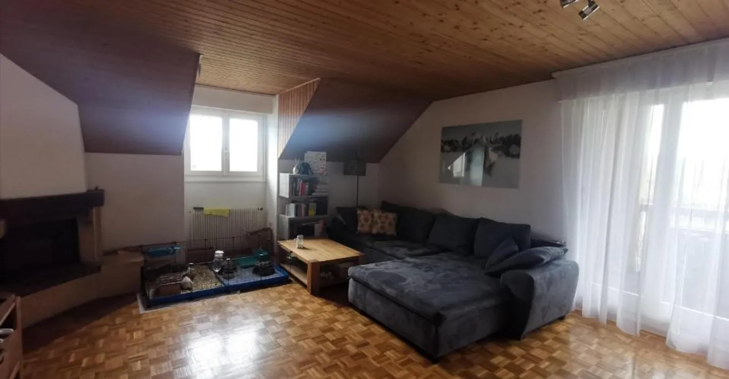 Ampio appartamento 3.5 in una posizione tranquilla vicino ai servizi - Foto 2 di 9