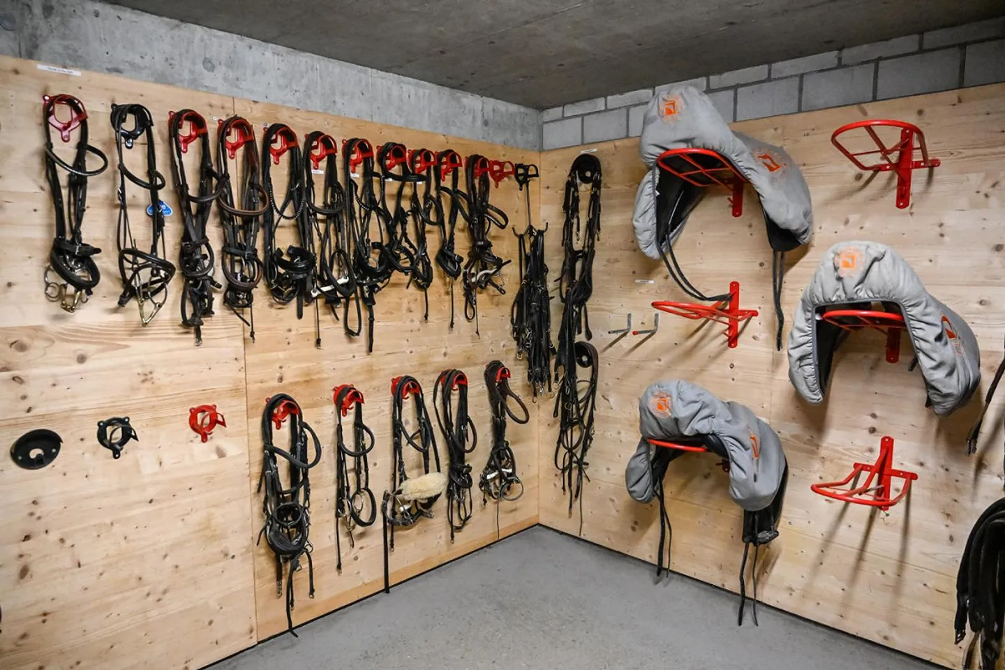 INSTALLATION ÉQUESTRE EN ZONE INDUSTRIELLE AVEC UN GRAND POTENTIEL - Photo 22 sur 42