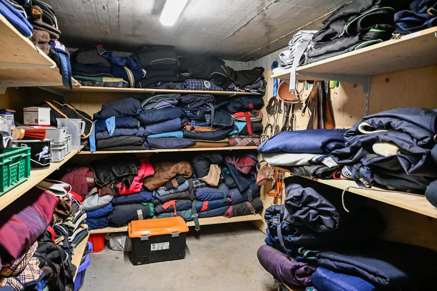 INSTALLATION ÉQUESTRE EN ZONE INDUSTRIELLE AVEC UN GRAND POTENTIEL - Photo 23 sur 42