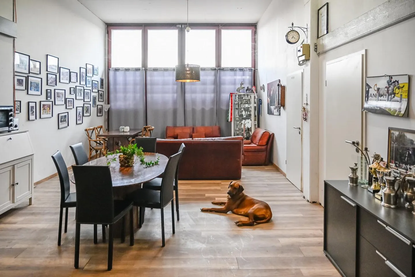 INSTALLATION ÉQUESTRE EN ZONE INDUSTRIELLE AVEC UN GRAND POTENTIEL - Photo 35 sur 42