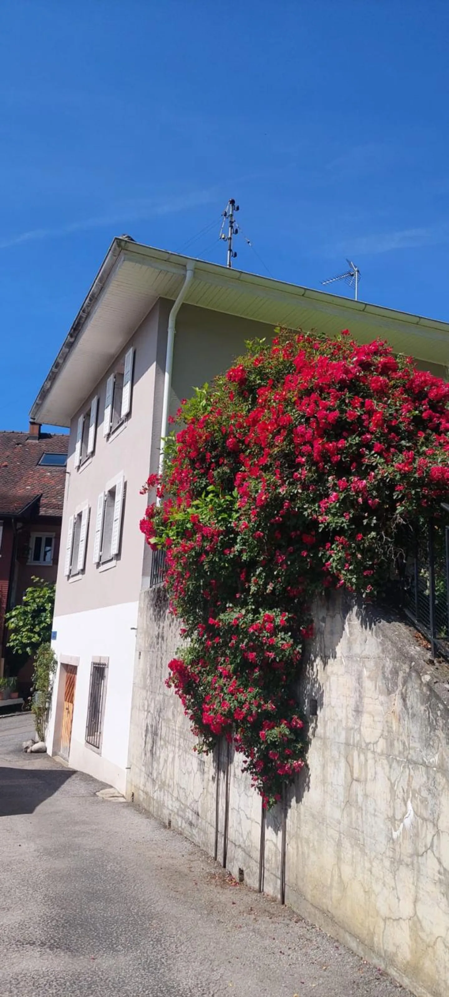 Charming Villa with Lake View - Photo 2 of 9