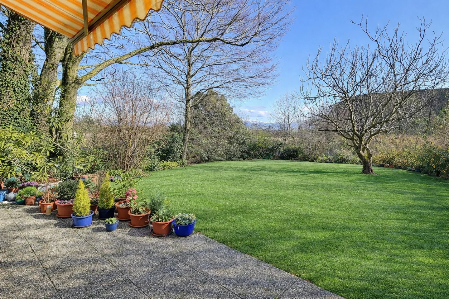 Schönes Haus in besetztem Leibrentenvertrag ohne Miete in ruhiger Lage mit großem Garten - Foto 3 von 15