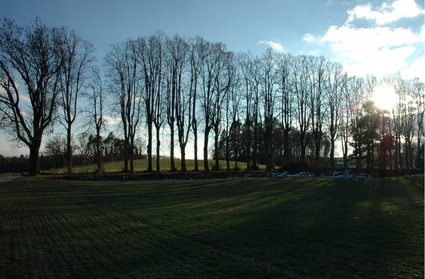 Antichi edifici in un ambiente idilliaco - Foto 4 di 11