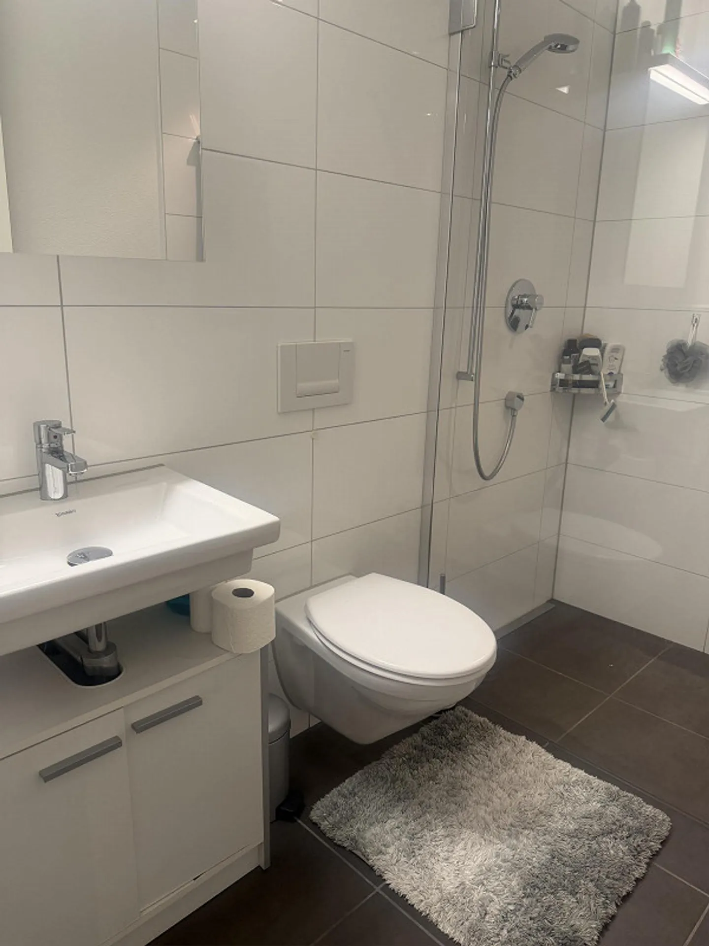 Subtenant in Eich - Photo 8 of 12