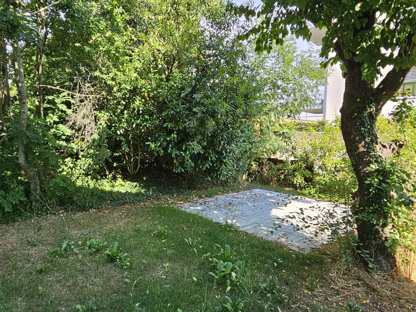 Vivere moderno ad Aegerten - studio nuovo con posto auto e area giardino - Foto 9 di 10