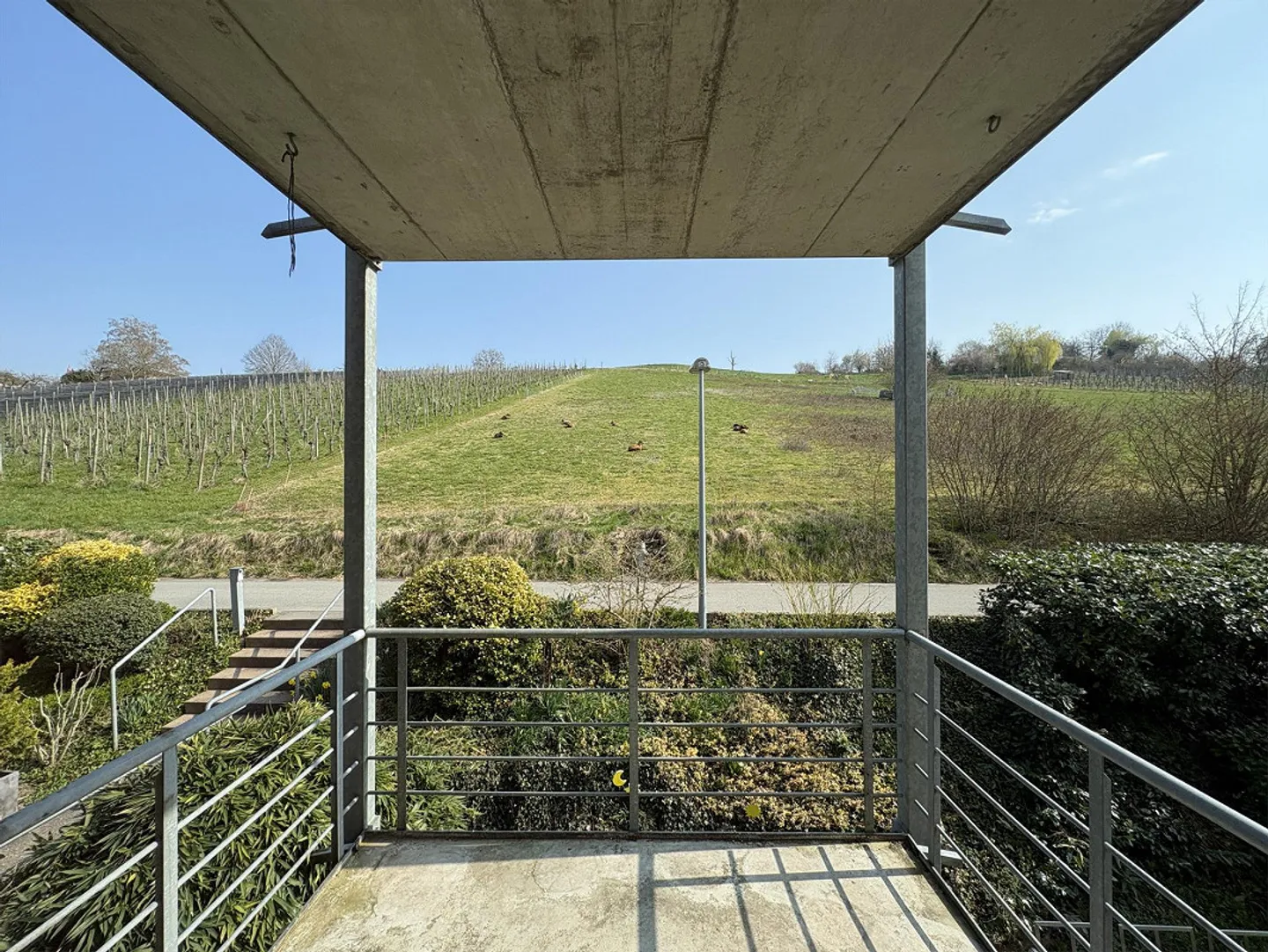 Geräumige Wohnung mit Balkonen - Foto 2 von 5