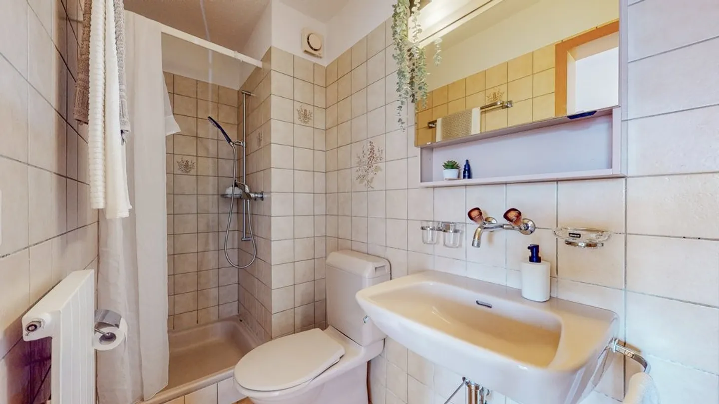 Appartamento in affitto - Foto 6 di 8