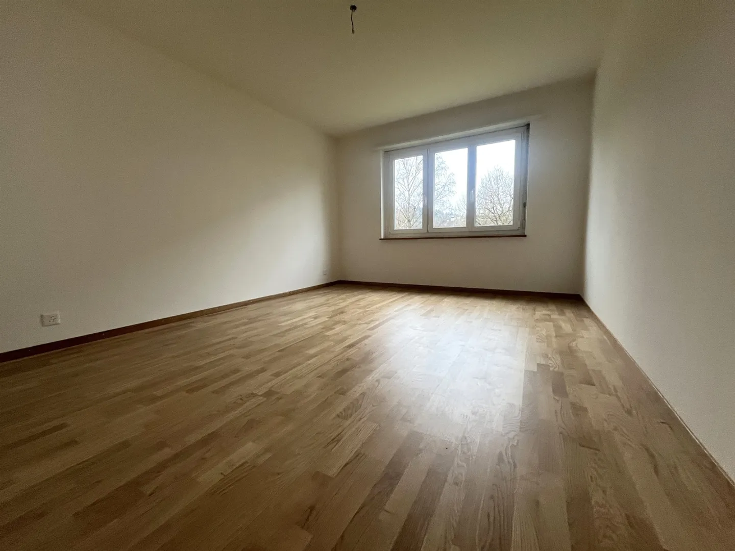 Appartamento 2.5 stanze - Foto 6 di 7