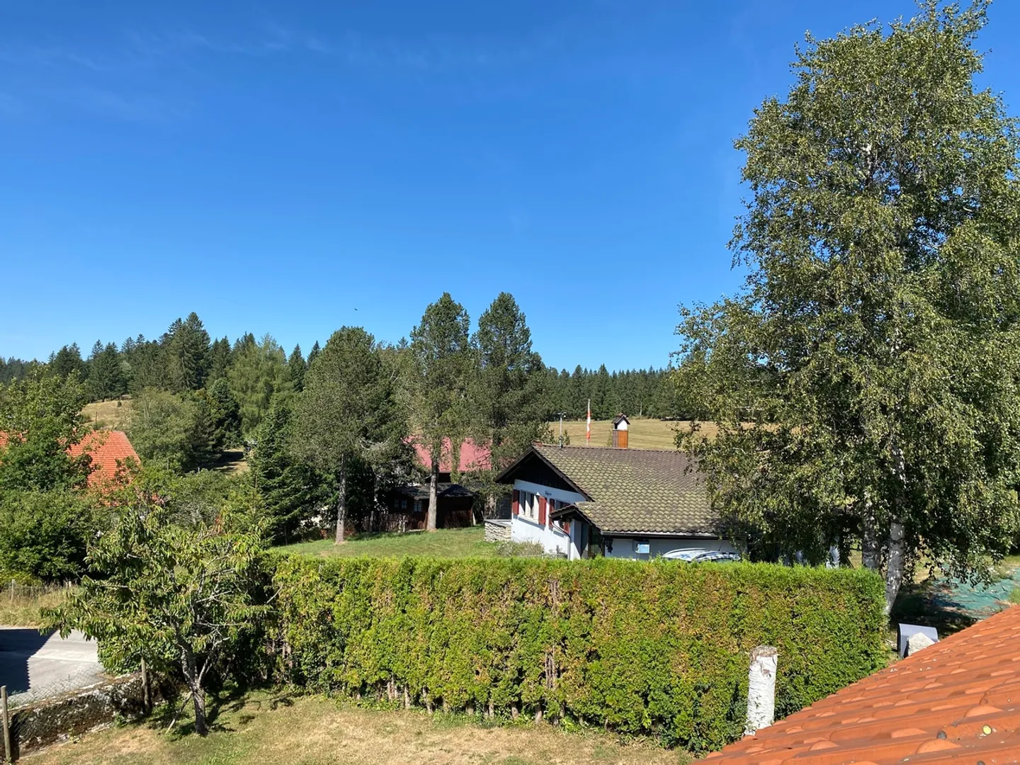 Beautiful Neuchâtel Farm, La Chaux du Milieu (NE) - Photo 15 of 20