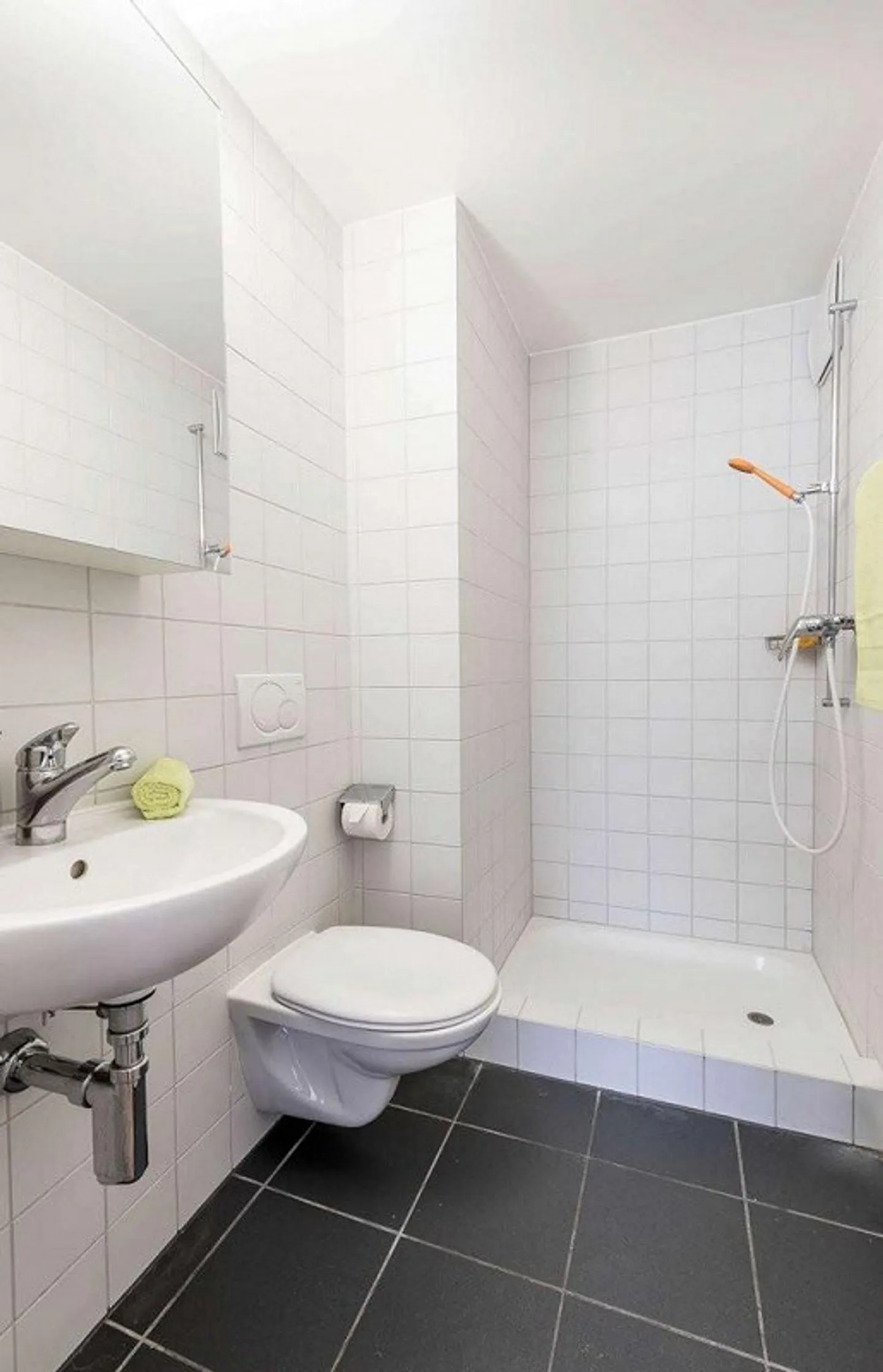 Exklusive Wohnung in Aesch - Foto 5 von 12