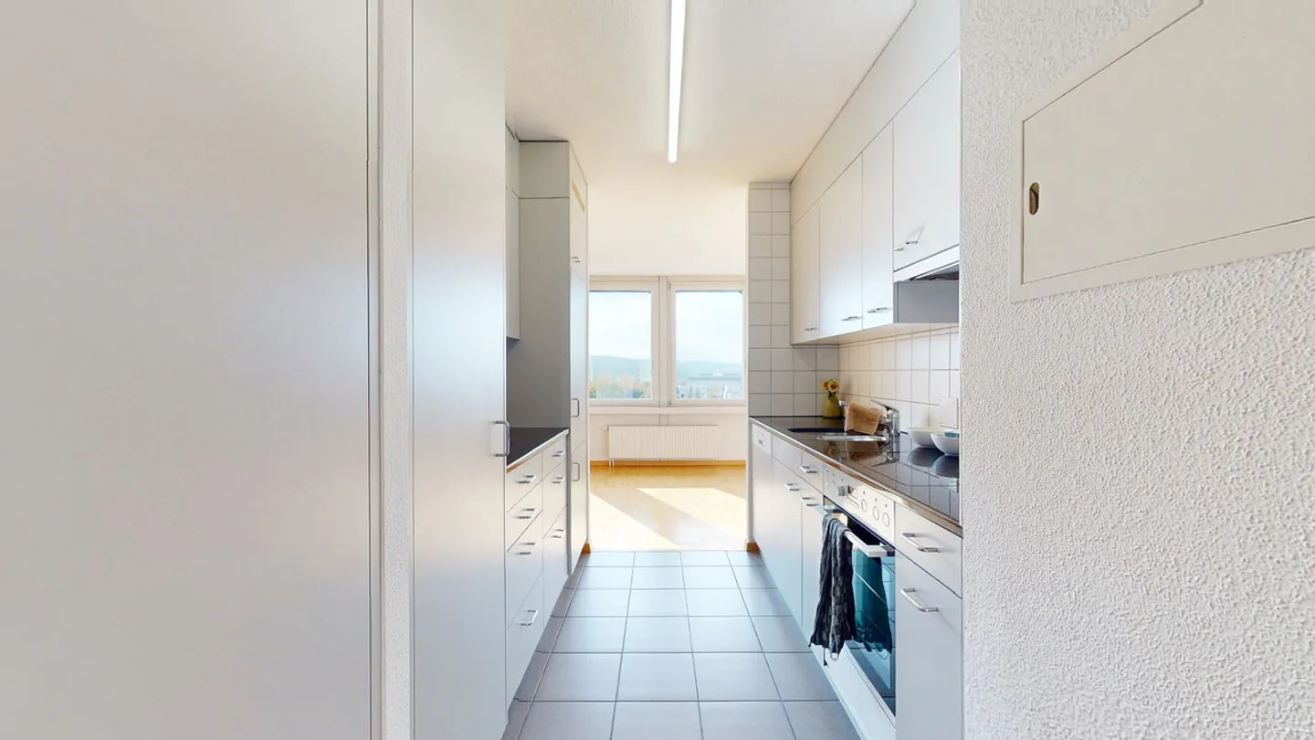 Quaranta passi dalla stazione Westbahnhof di Solothurn! - Foto 3 di 10