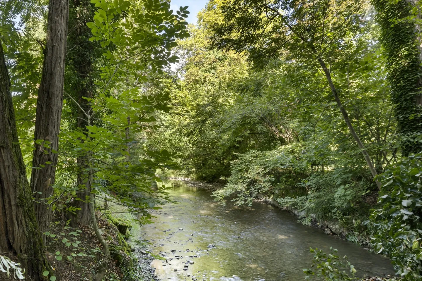 Villa affascinante sulle rive dell'Aire - Vendita con usufrutto - Foto 3 di 4