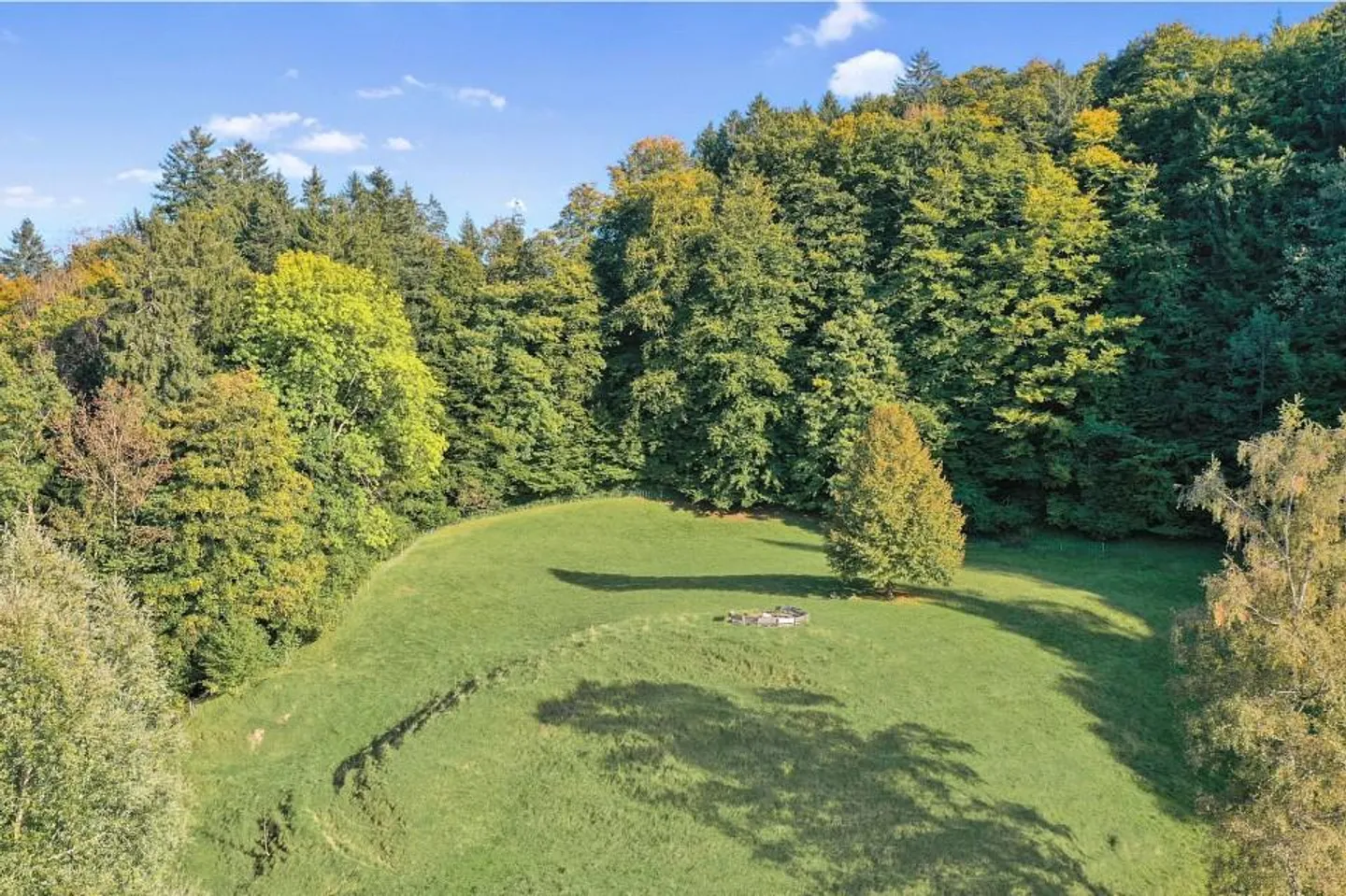 Feel Freedom - Live Spaciously - Arrive Home - Photo 5 of 13