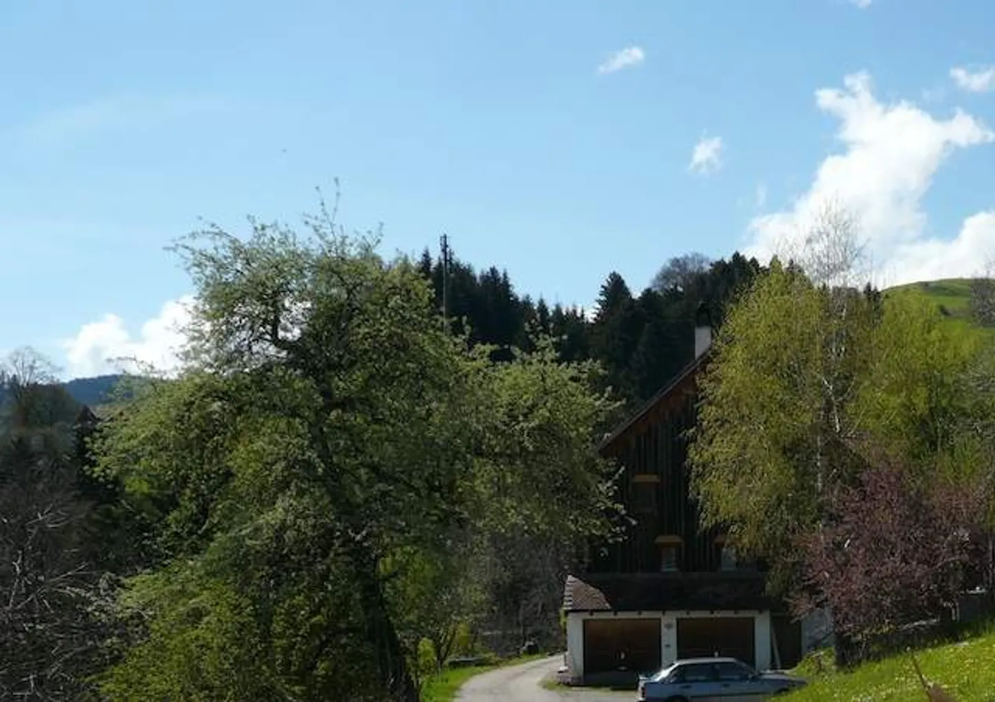 Living & Working on the Southern Slope above the Rhine Valley - Photo 6 of 23