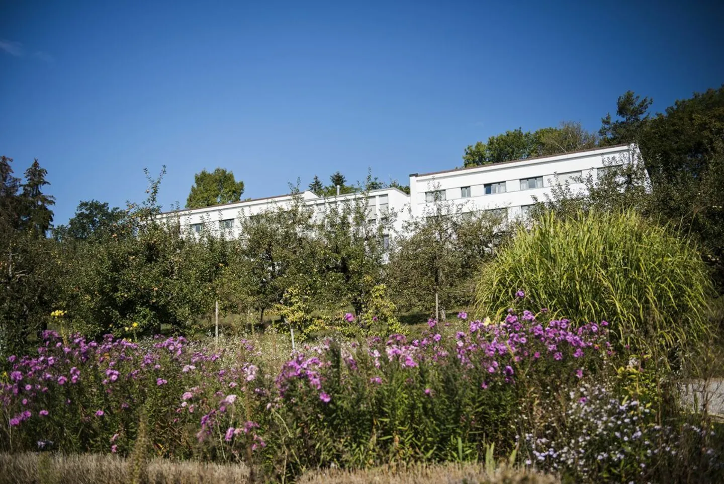 Domaine Notre-Dame de la Route - Photo 4 of 13
