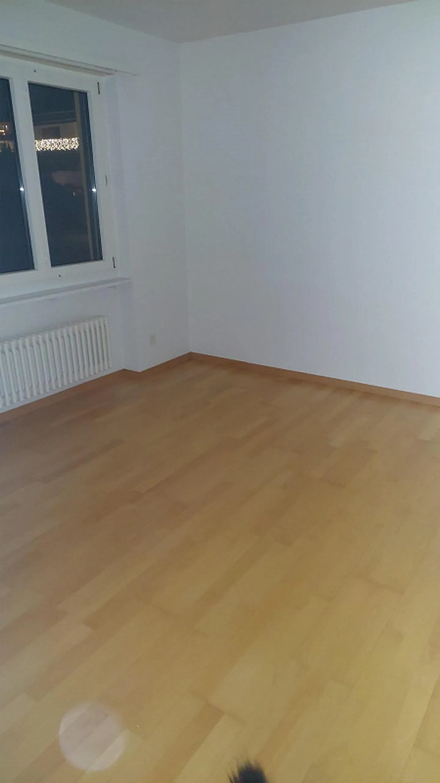 WG Zimmer in Birmensdorf - Foto 2 von 2