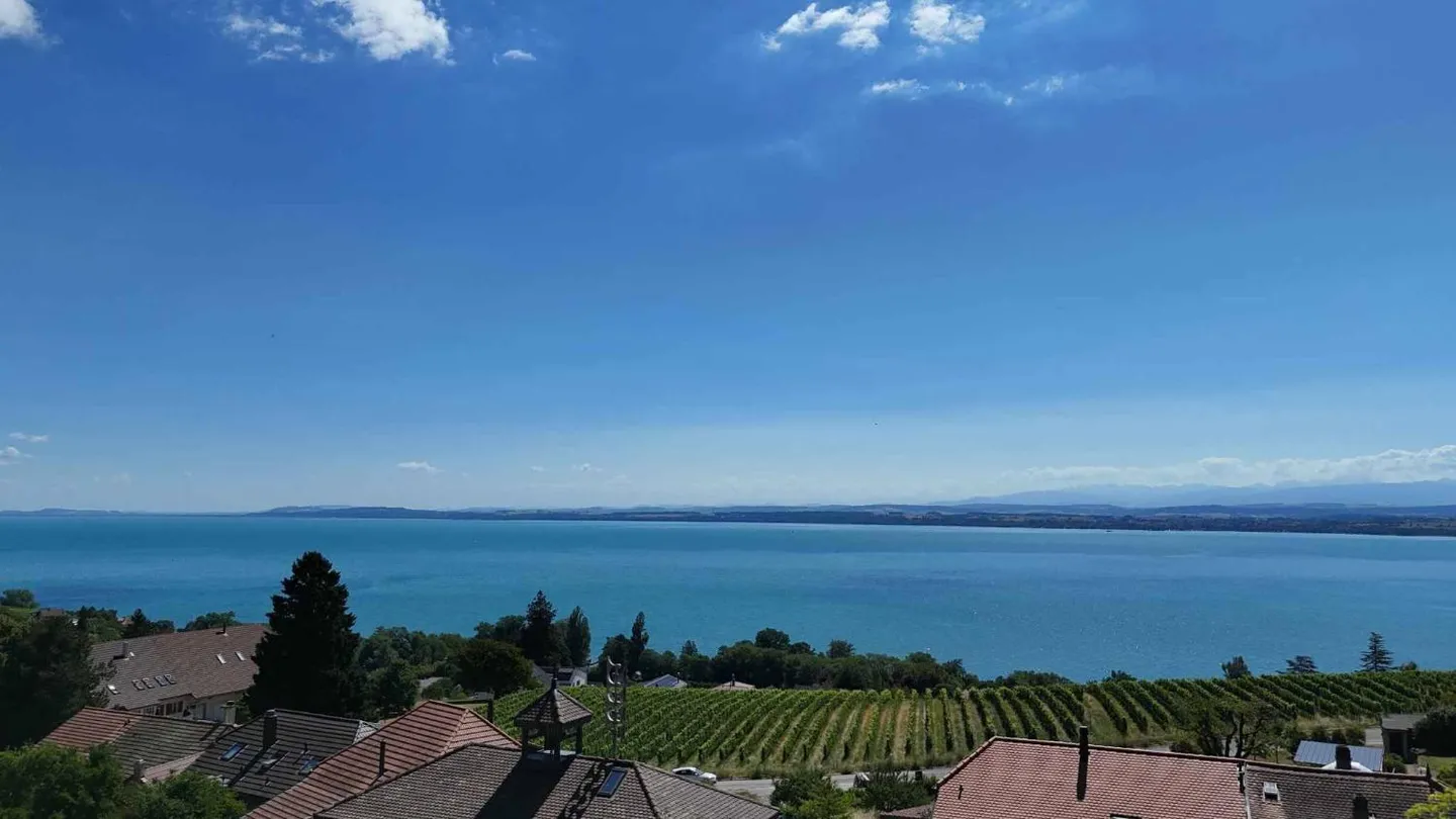 Villa contemporaine avec vue sur le lac - Photo 12 sur 12