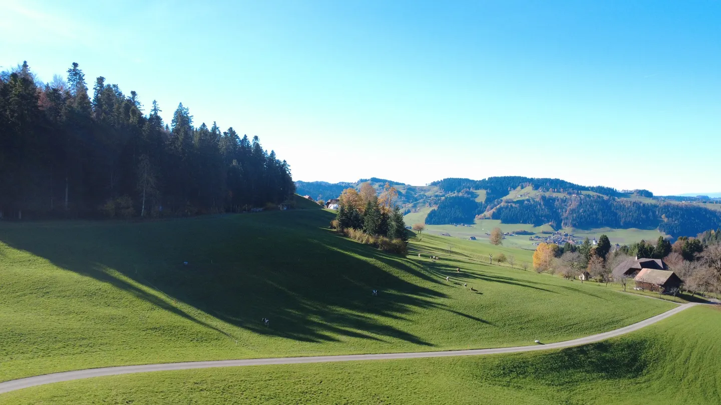 Single house for sale - Photo 6 of 7