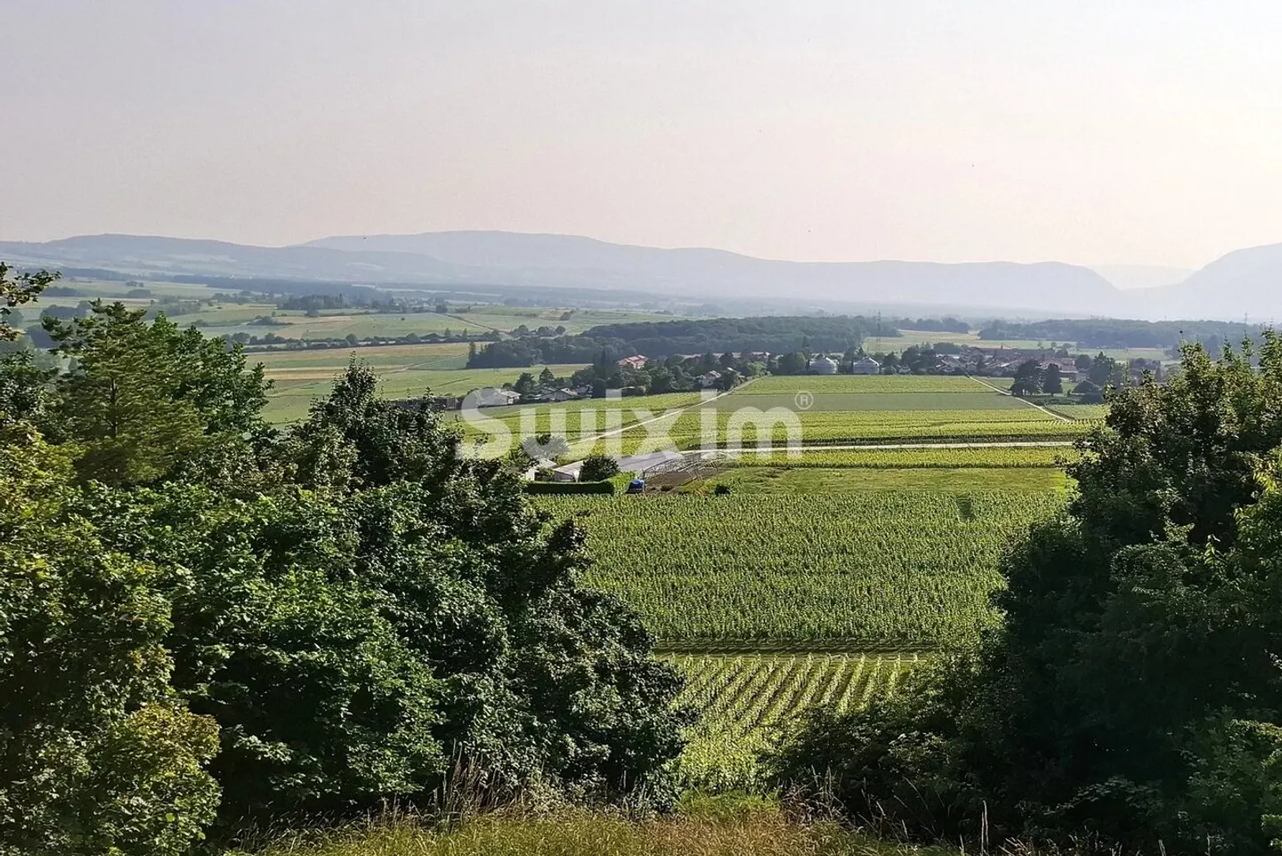 Charmante Villa mit Grossartigem Garten - Foto 1 von 1