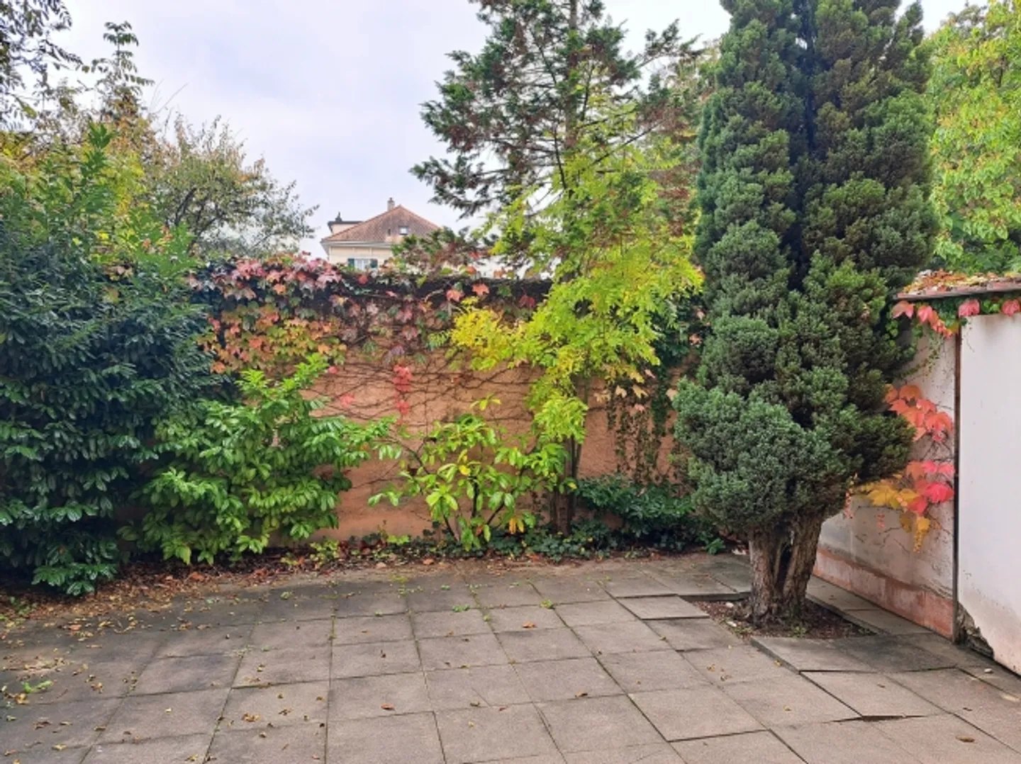 "ROGER-DE-GUIMPS 5, COMMERCIAL SPACES IN THE CITY CENTER" - Photo 9 of 13