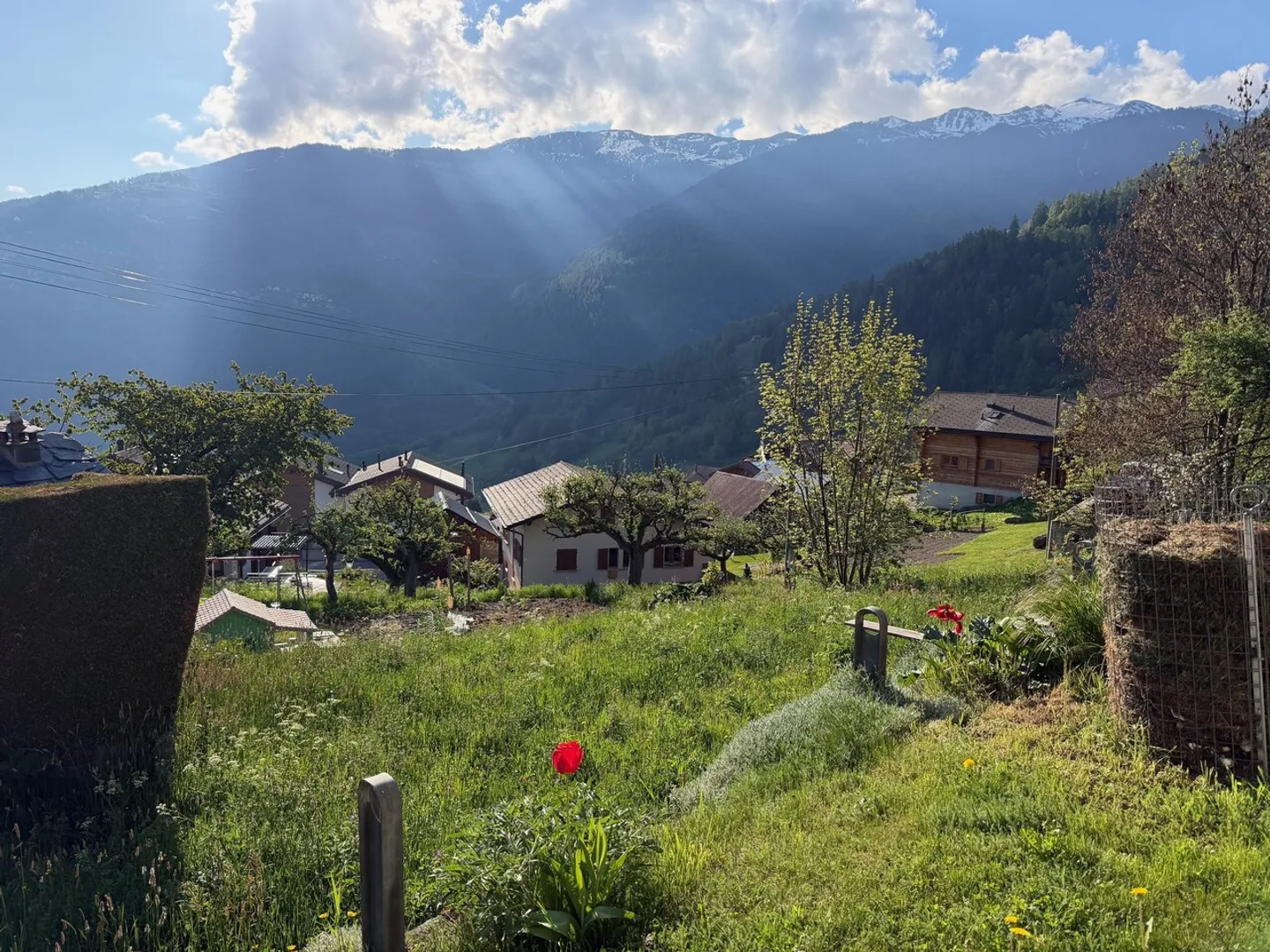 Terreno edificabile - Foto 2 di 4