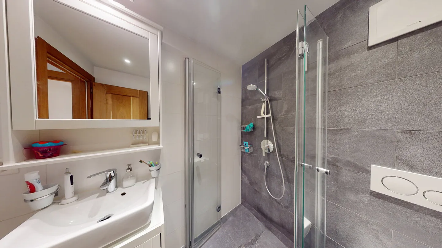 3.5 Room Apartment - Photo 9 of 13