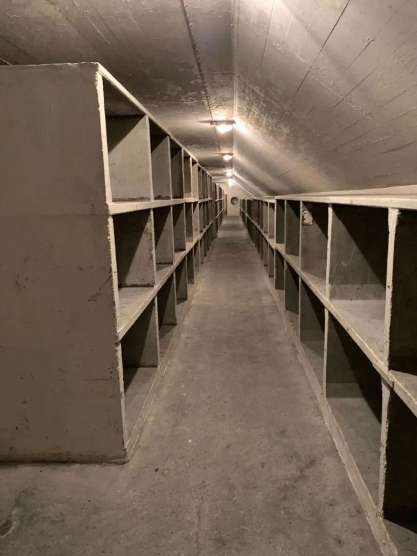 Storage Rooms - Photo 8 of 11