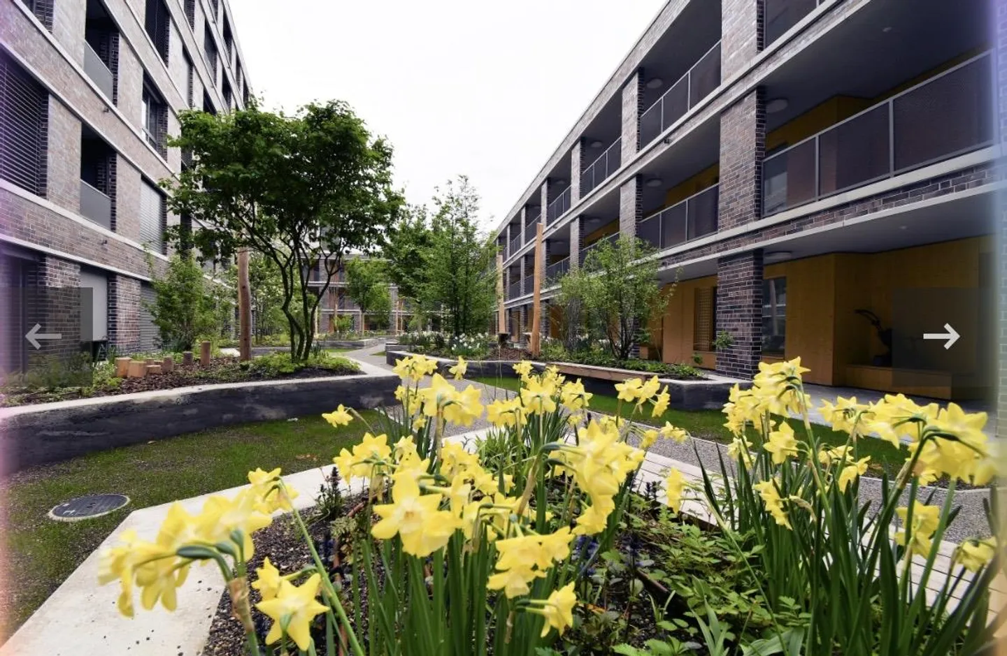 Apartment - Photo 3 of 3