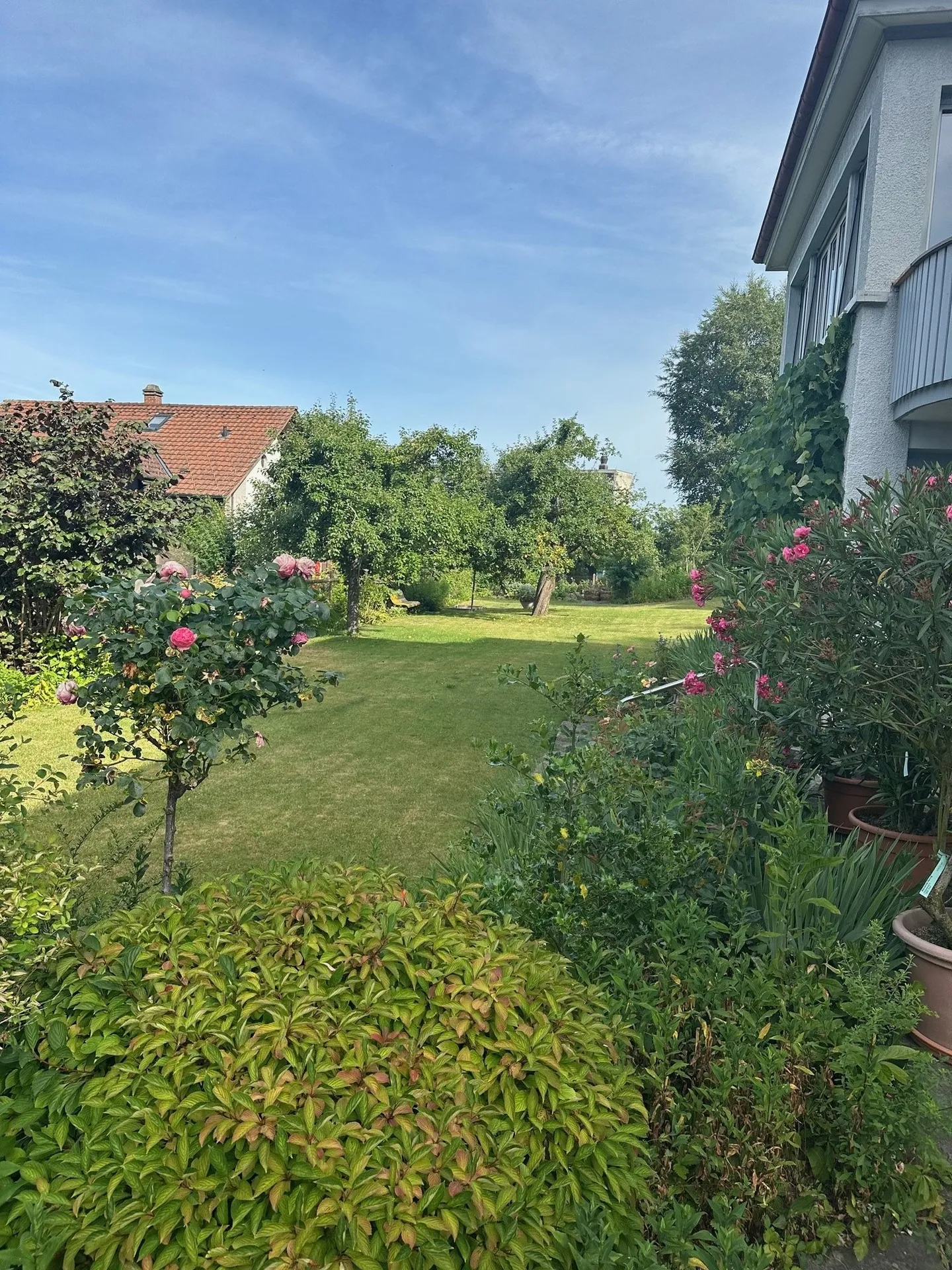 Charmante 5-Zimmer-Wohnung mit Bergblick in Thun - Foto 1 von 15