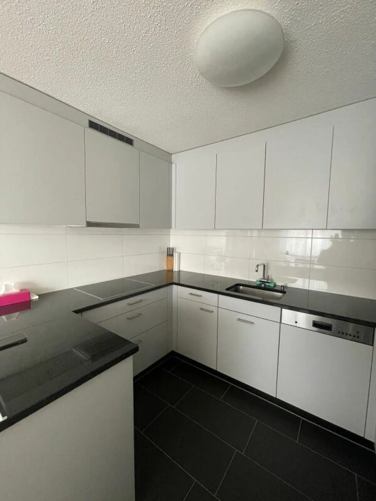 Appartamento di 1,5 locali ben tagliato a Dietikon - Foto 1 di 4