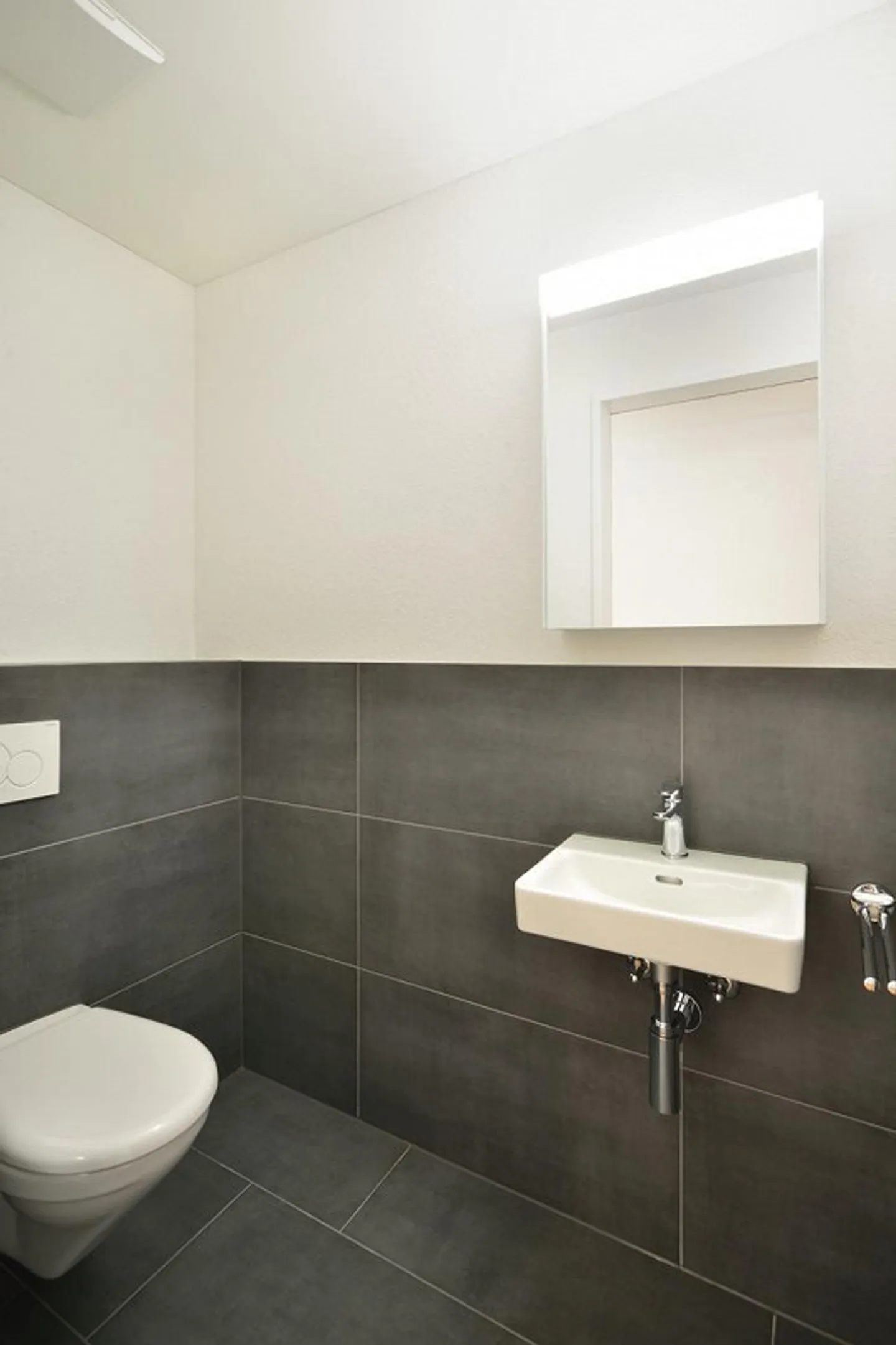 3.5 Room Apartment in Au SG - Photo 5 of 9