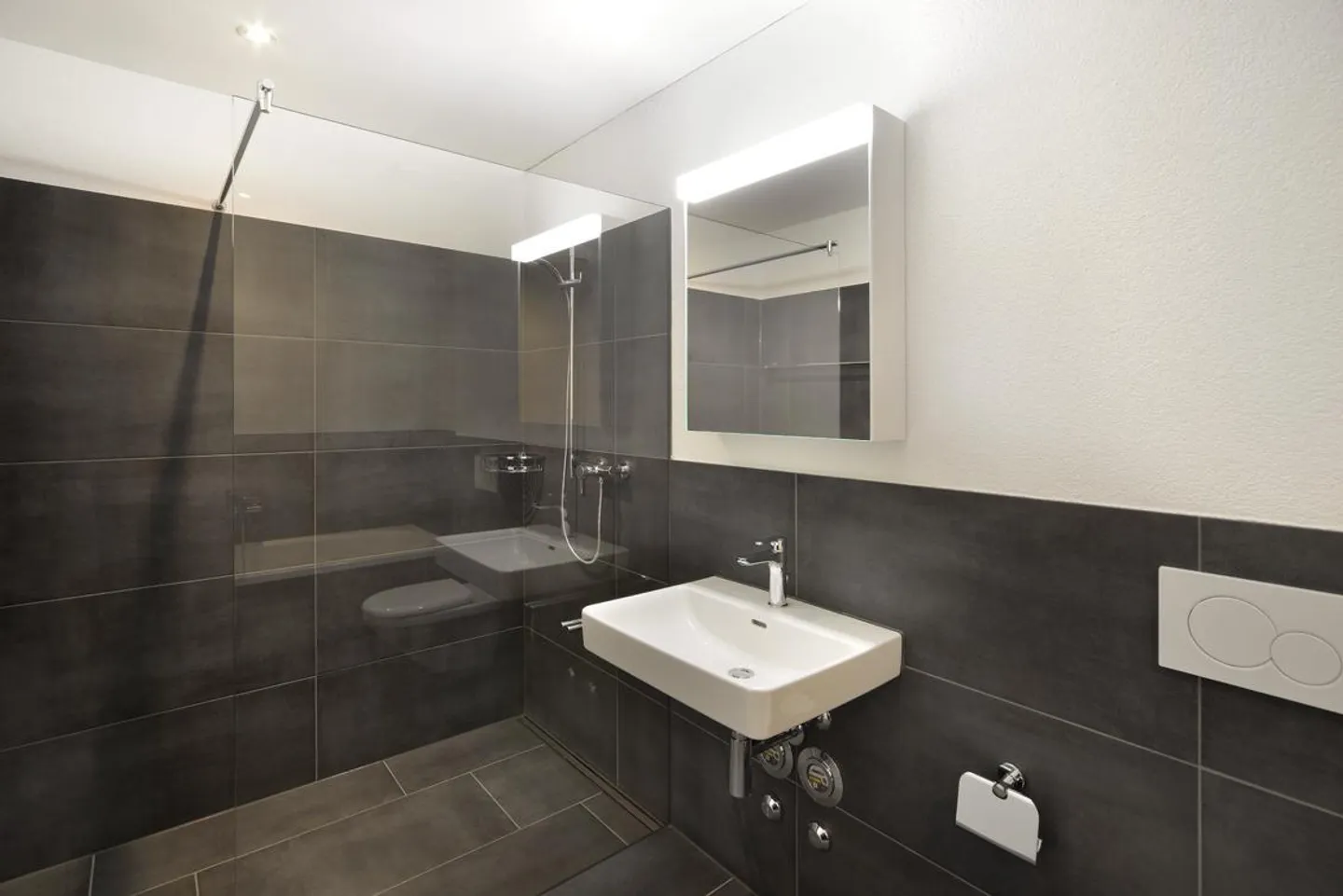 3.5 Room Apartment in Au SG - Photo 4 of 9