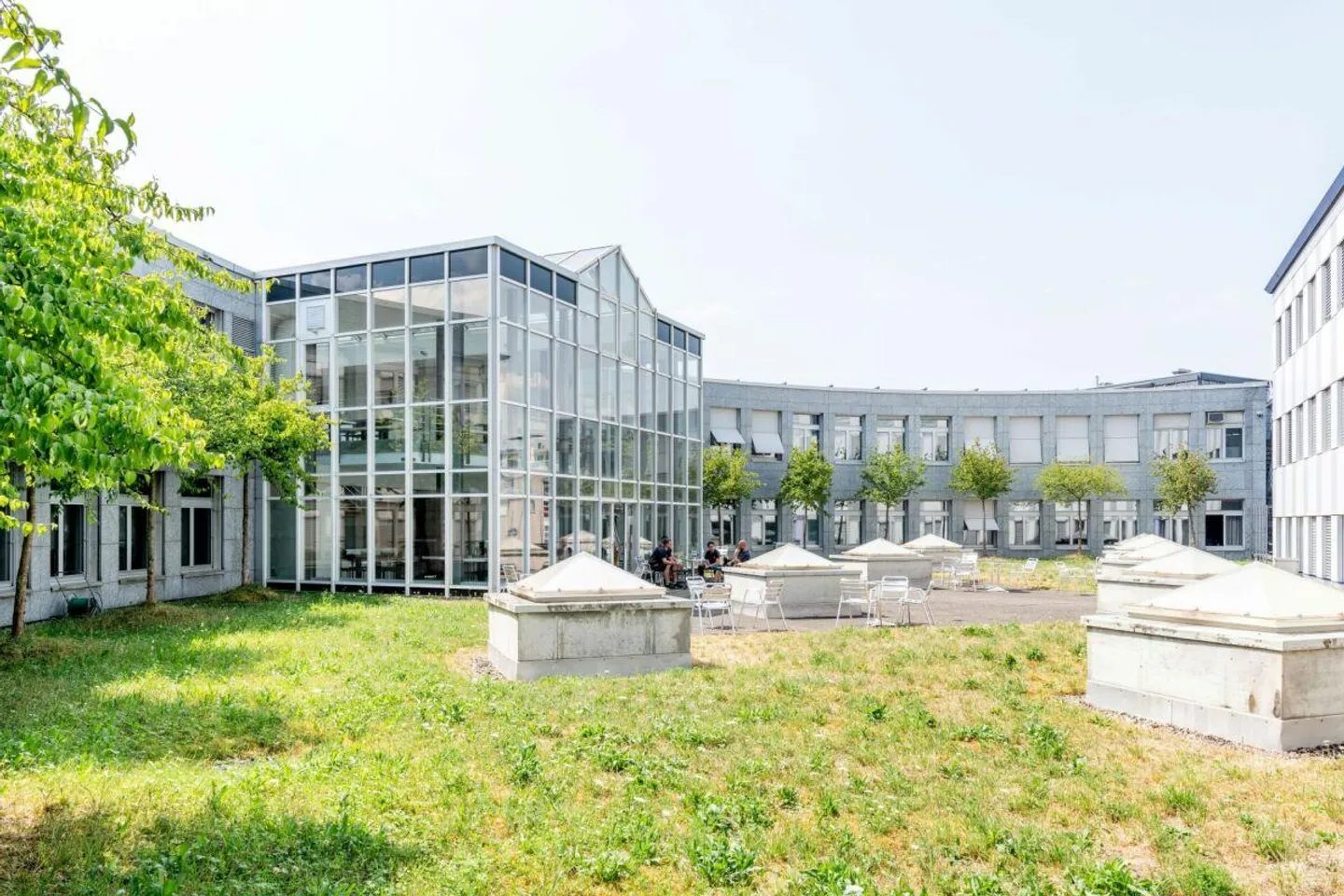 Work successfully, with joy and sunshine. - Photo 3 of 13