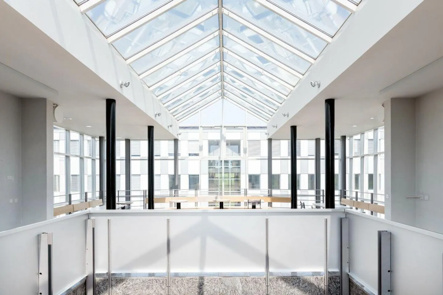 Work successfully, with joy and sunshine. - Photo 1 of 13