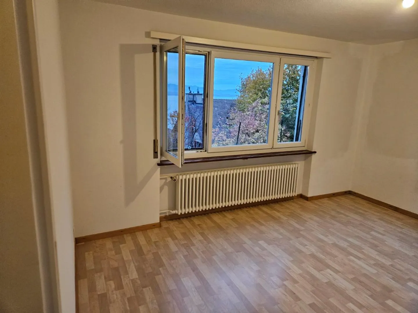 Quiet 2-room apartment with lake view - Photo 1 of 5