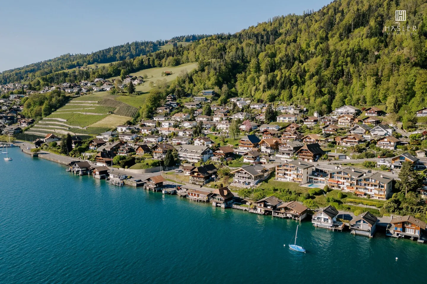 Maison bi-familiale avec vue panoramique sur le lac de Thun et la chaîne des Alpes - Photo 2 sur 10