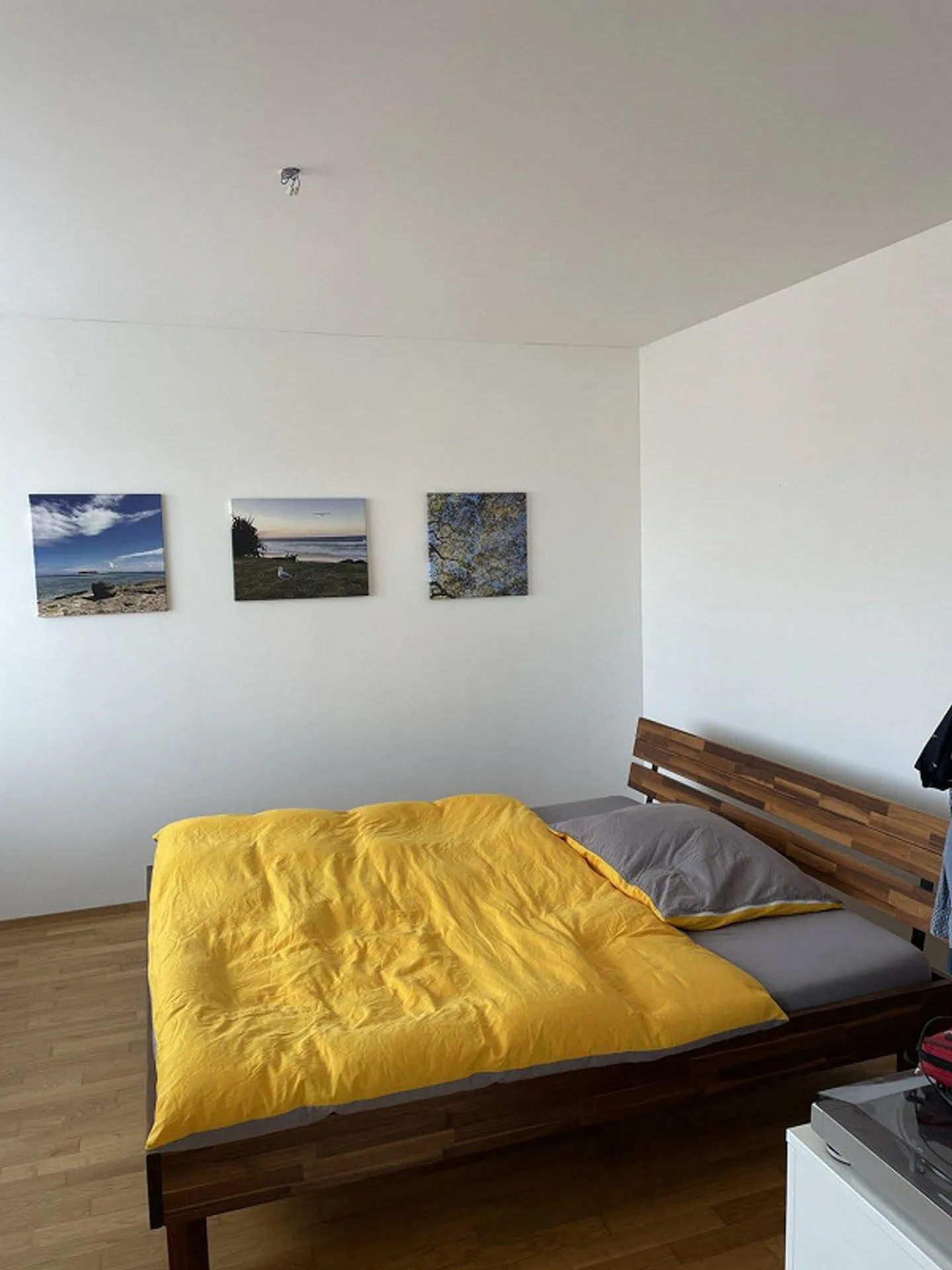 Cozy 2-room apartment with a view of the Rigi - Photo 7 of 11