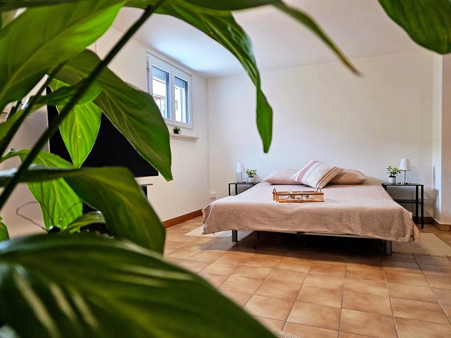 Appartement deux pièces rénové avec terrasse et entrée indépendante à Losone, idéal pour des séjours de courte à moyenne durée à Losone - Photo 1 sur 15