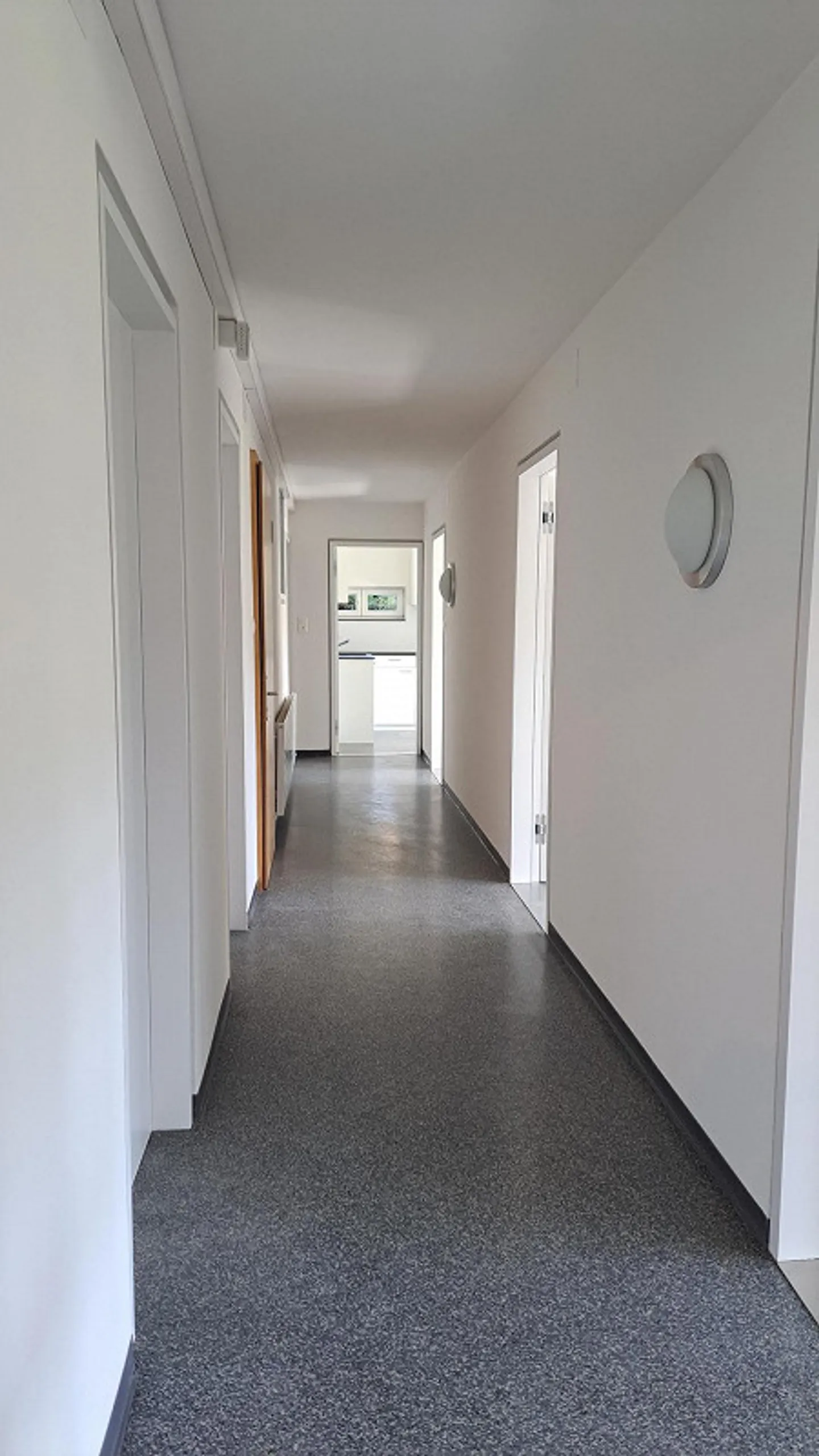 Newly renovated granny flat in a quiet residential area - Photo 3 of 7