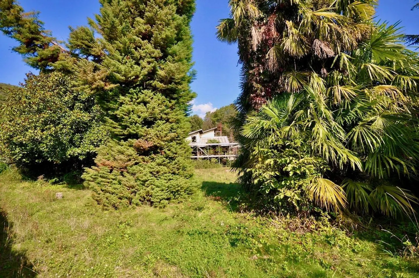 Villa zur Renovierung umgeben von einem großen Park mit viel Privatsphäre - Foto 3 von 24